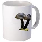 grey mushrooms